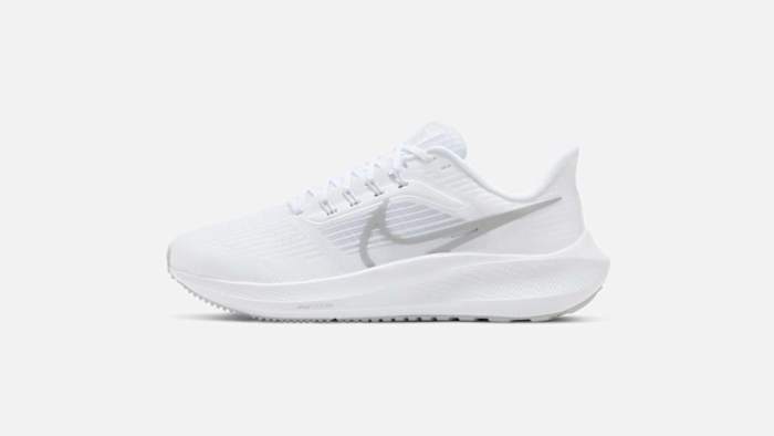 Nike Pegasus Air Zoom